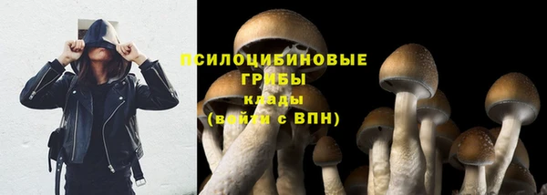 соль ск Алексеевка