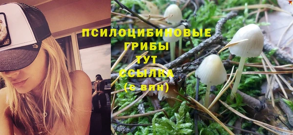 соль ск Алексеевка