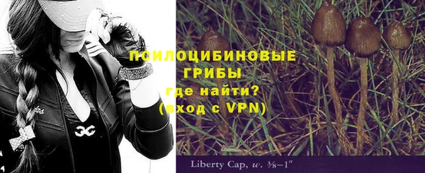 герыч Алексин