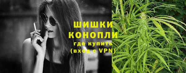 МДПВ Алзамай