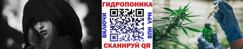 Бошки Шишки ГИДРОПОН Вуктыл